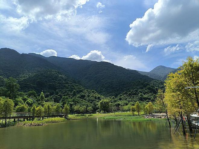 武当山神秘发现：男子偶遇灵兽飞鼠